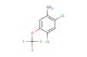 2,4-dichloro-5-(trifluoromethoxy)aniline
