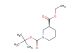 1-tert-butyl 3-ethyl (3S)-piperidine-1,3-dicarboxylate