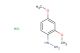 (2,4-dimethoxyphenyl)hydrazine hydrochloride