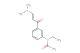 (E)-N-(3-(3-(dimethylamino)acryloyl)phenyl)-N-ethylacetamide