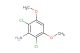 2,6-dichloro-3,5-dimethoxyaniline
