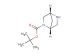 tert-butyl (1R,4R)-2,5-diazabicyclo[2.2.1]heptane-2-carboxylate