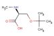 (2S)-3-(tert-butoxy)-2-(methylamino)propanoic acid