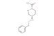 (2S,5R)-5-[(benzyloxy)amino]piperidine-2-carboxamide