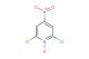 2,6-dichloro-4-nitropyridin-1-ium-1-olate