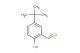 5-tert-butyl-2-hydroxybenzaldehyde