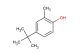 4-tert-butyl-2-methylphenol