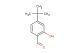 4-tert-butyl-2-hydroxybenzaldehyde