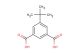 5-tert-butylbenzene-1,3-dicarboxylic acid