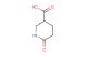 6-oxopiperidine-3-carboxylic acid