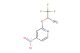 4-nitro-2-((1,1,1-trifluoropropan-2-yl)oxy)pyridine