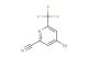 4-bromo-6-(trifluoromethyl)picolinonitrile