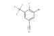 3-bromo-4-fluoro-5-(trifluoromethyl)benzonitrile