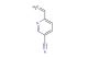 6-vinylnicotinonitrile