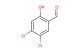 4,5-dichloro-2-hydroxybenzaldehyde