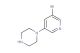 1-(5-bromopyridin-3-yl)piperazine