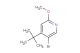 5-bromo-4-(tert-butyl)-2-methoxypyridine