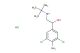 1-(4-amino-3,5-dichlorophenyl)-2-(tert-butylamino)ethanol hydrochloride