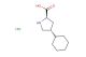 trans-4-cyclohexylpyrrolidine-2-carboxylic acid hydrochloride