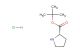 tert-butyl (2S)-pyrrolidine-2-carboxylate hydrochloride