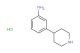 3-(piperidin-4-yl)aniline hydrochloride