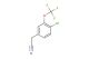 2-[4-chloro-3-(trifluoromethoxy)phenyl]acetonitrile