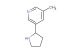 3-methyl-5-(pyrrolidin-2-yl)pyridine