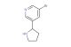 3-bromo-5-(pyrrolidin-2-yl)pyridine