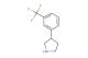 3-[3-(trifluoromethyl)phenyl]pyrrolidine