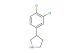 3-(3,4-dichlorophenyl)pyrrolidine