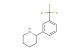 2-[3-(trifluoromethyl)phenyl]piperidine
