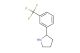 2-[3-(trifluoromethyl)phenyl]pyrrolidine