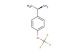 (1R)-1-[4-(trifluoromethoxy)phenyl]ethan-1-amine