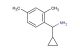 cyclopropyl(2,4-dimethylphenyl)methanamine