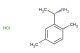 (1S)-1-(2,5-dimethylphenyl)ethan-1-amine hydrochloride