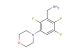 [2,3,6-trifluoro-5-(morpholin-4-yl)phenyl]methanamine