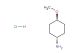 trans-4-methoxy-cyclohexylamine hydrochloride