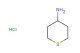 tetrahydro-thiopyran-4-ylamine hydrochloride