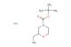 tert-butyl 2-(aminomethyl)morpholine-4-carboxylate hydrochloride