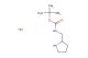 tert-butyl N-[(pyrrolidin-2-yl)methyl]carbamate hydrochloride