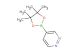 4-(4,4,5,5-tetramethyl-1,3,2-dioxaborolan-2-yl)pyridazine