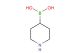 piperidine-4-boronic acid