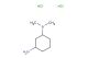 N1,N1-dimethylcyclohexane-1,3-diamine dihydrochloride