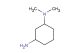 N1,N1-dimethylcyclohexane-1,3-diamine