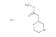 methyl 2-(morpholin-2-yl)acetate hydrochloride