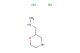 methyl[(morpholin-2-yl)methyl]amine dihydrochloride