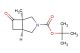 cis-1-methyl-7-oxo-3-aza-bicyclo[3.2.0]heptane-3-carboxylic acid tert-butyl ester