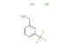 [6-(trifluoromethyl)pyridin-2-yl]methanamine dihydrochloride