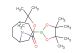 tert-butyl 3-(tetramethyl-1,3,2-dioxaborolan-2-yl)-8-azabicyclo[3.2.1]octane-8-carboxylate