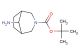 tert-butyl 8-amino-3-azabicyclo[3.2.1]octane-3-carboxylate